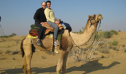 Camel Ride