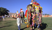 Jaipur Elephant Festival