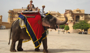 Elephant Ride at Jaipur