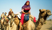 Pushkar Camel Fair