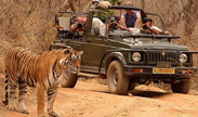 Ranthambore Tiger Reserve